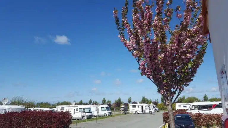 Aire Camping-Car de Saint-Jean-de-Monts à Saint-Jean-de-Monts — vue 4