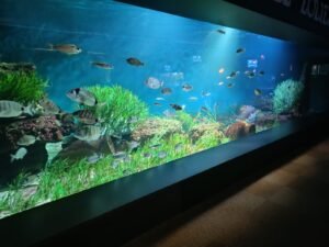 Aquarium de Vendee - photo 1