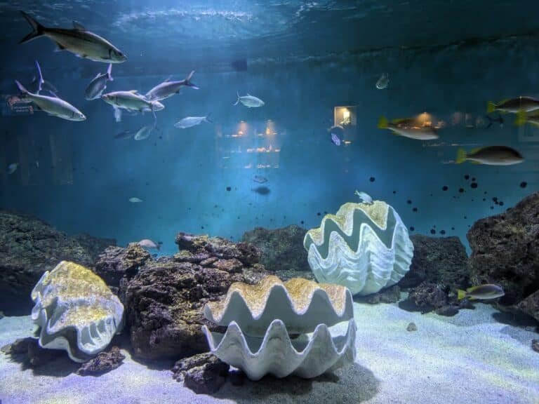 Aquarium de Vendee - photo 4