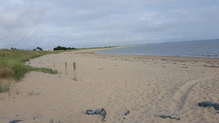 Camping Les Moulins - photo 2