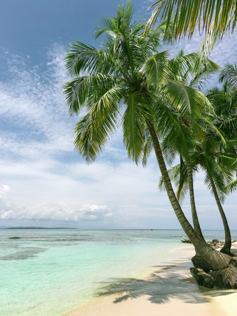 Yelloh Village Le Pin Parasol lac du Jaunay