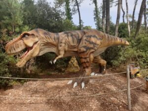 Dino's Park - photo 1