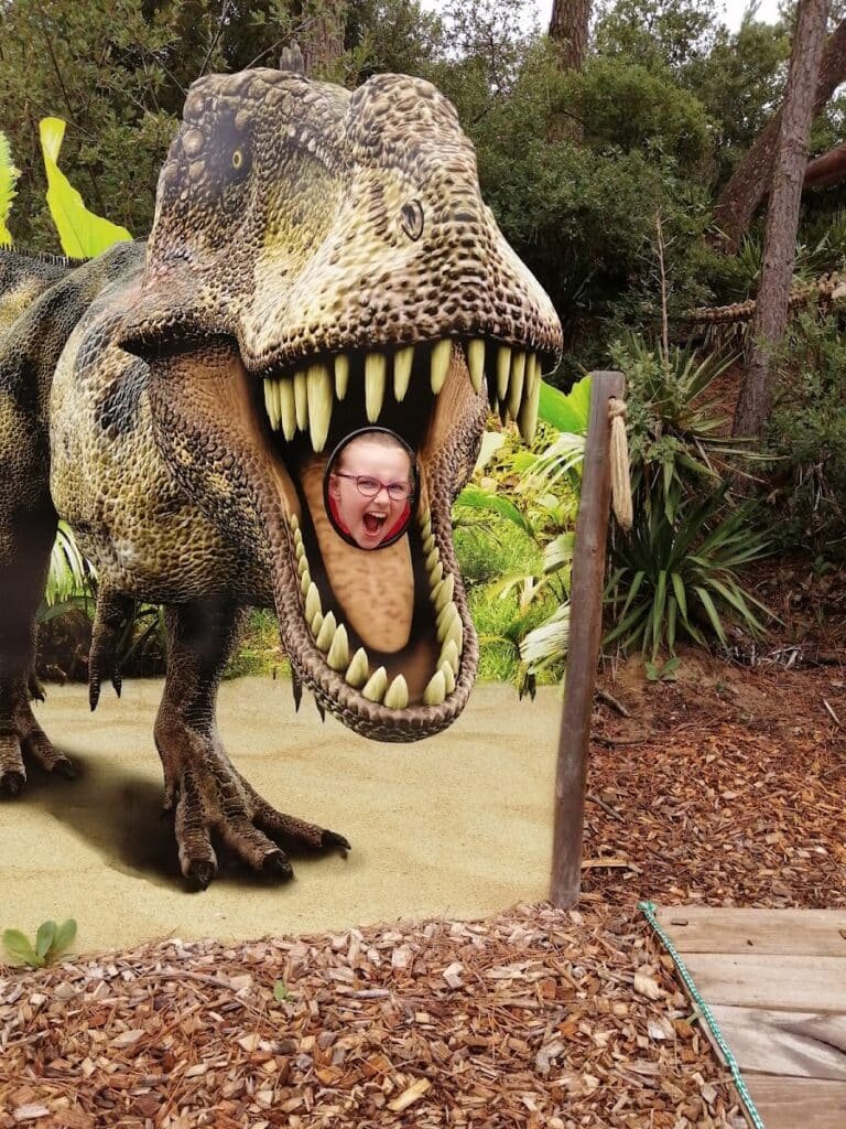 Dino's Park - photo 2