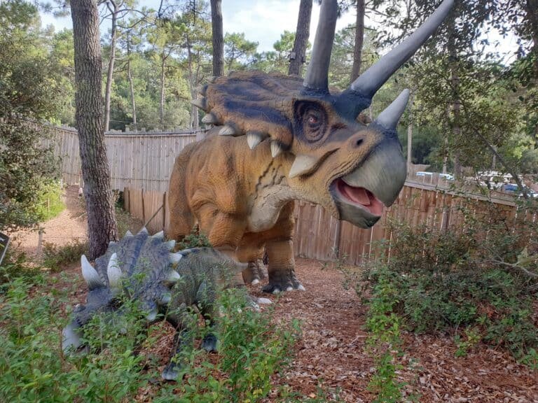 Dino's Park - photo 3