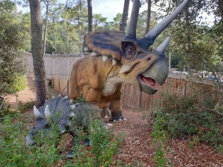 Dino’s Park à Saint-Hilaire-de-Riez — vue 3
