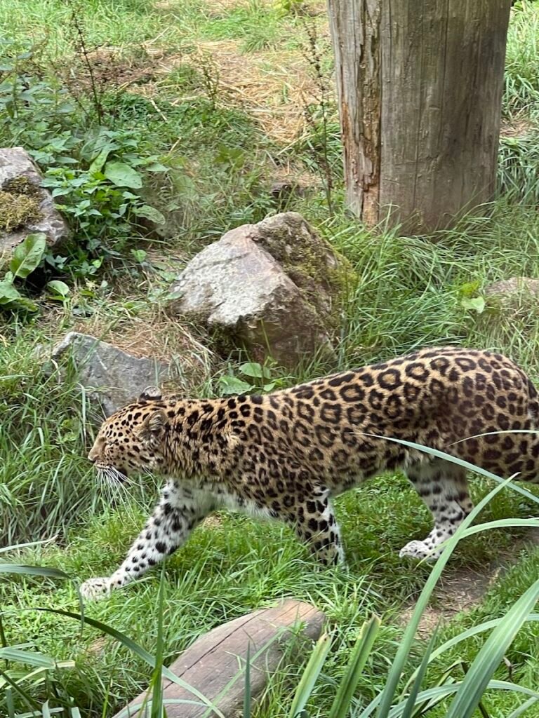 Ecozoo des Sables - photo 1