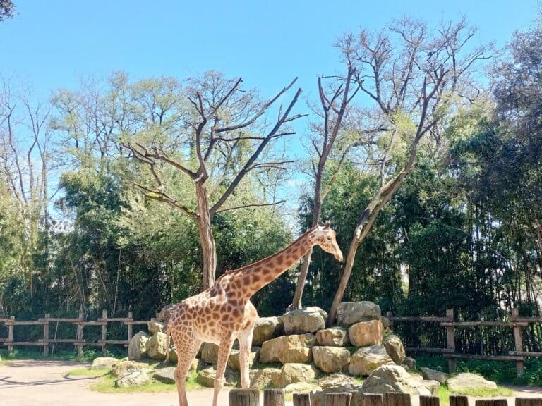 Ecozoo des Sables - photo 2