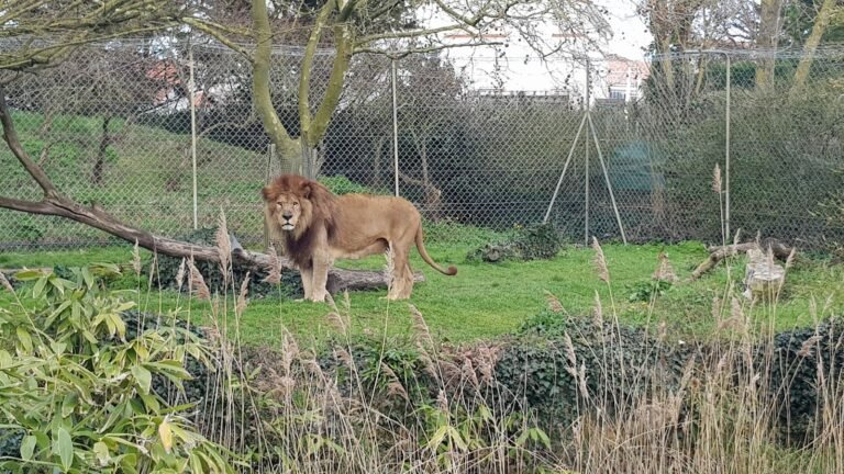Ecozoo des Sables - photo 4