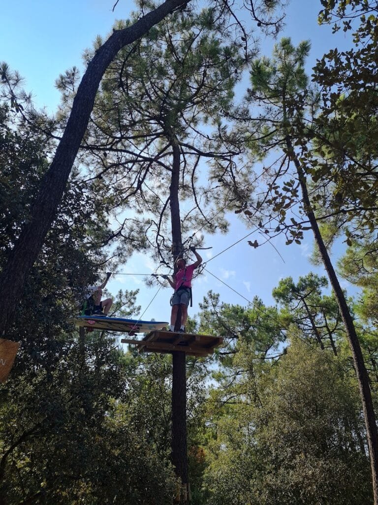 Feeling Forest - photo 3