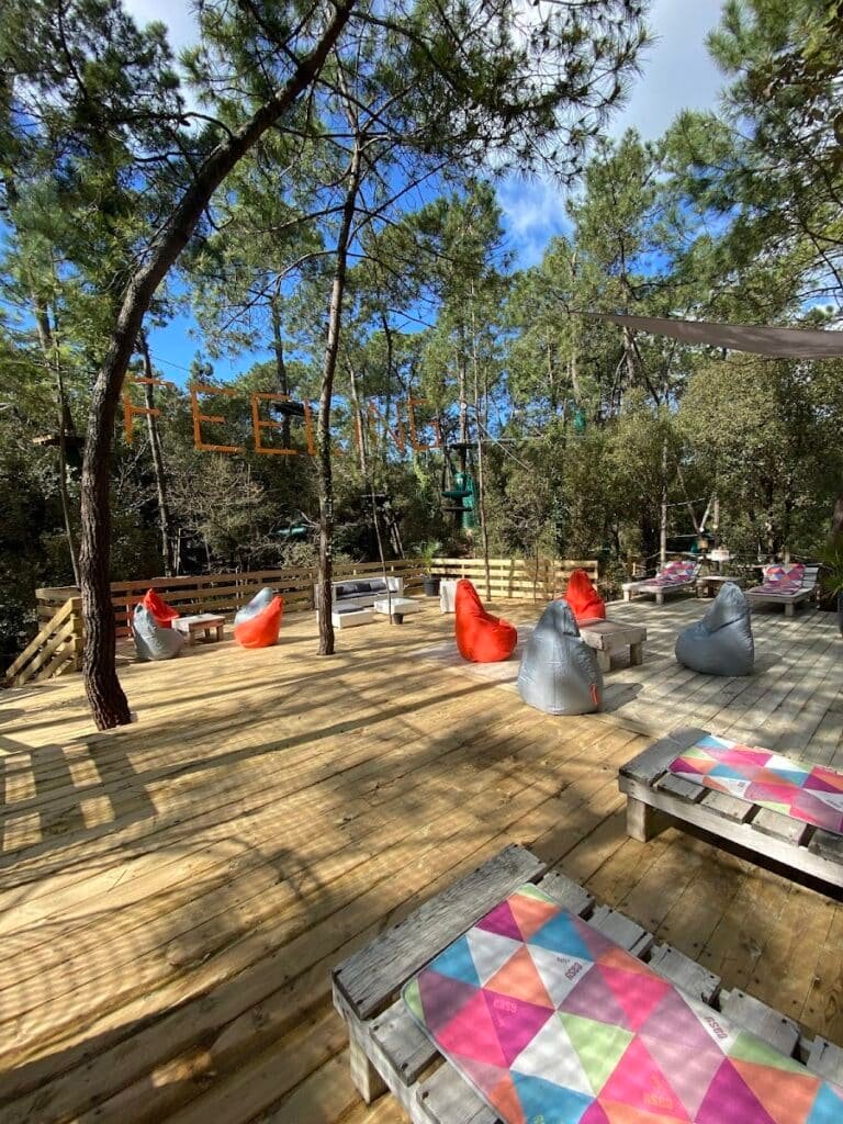 Feeling Forest - photo 4