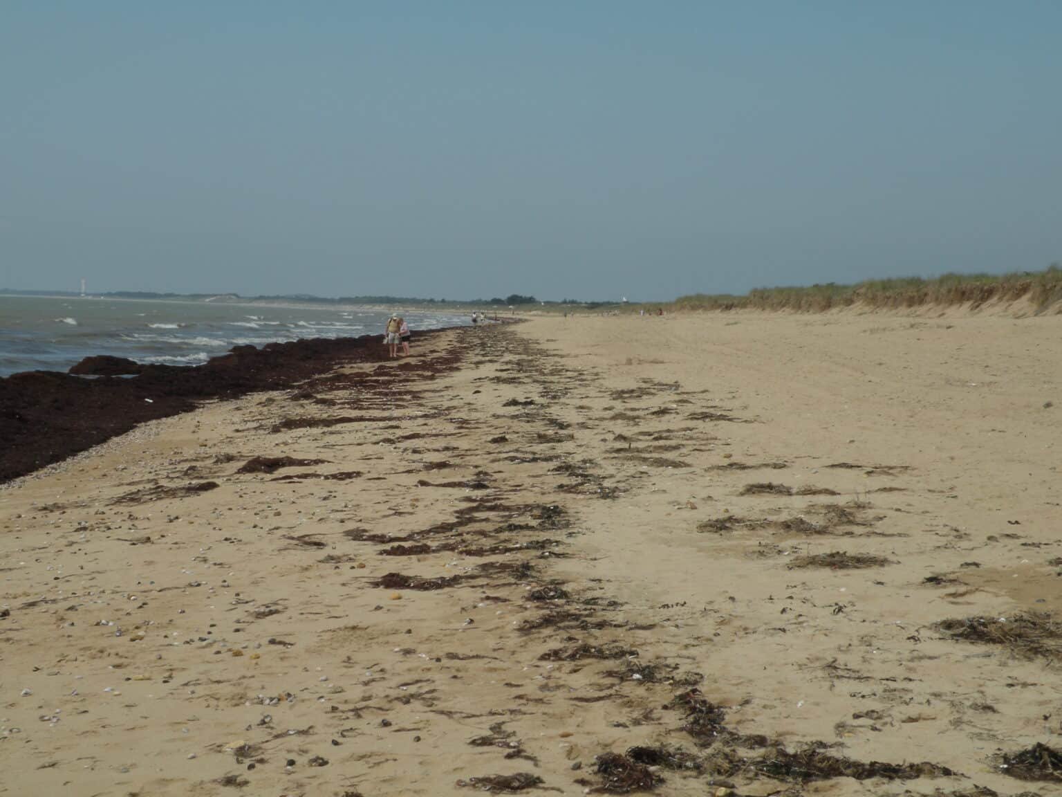 Notre-Dame-de-Monts - plage et vue de la ville