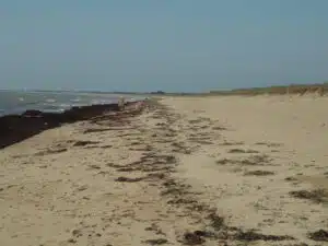 Photo hero notre dame de monts – Vendée