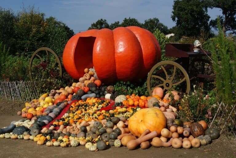 Le Potager Extraordinaire - photo 4