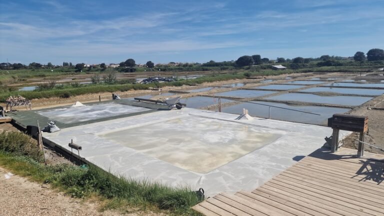Les Salines - Parc d'aventure du sel - photo 2