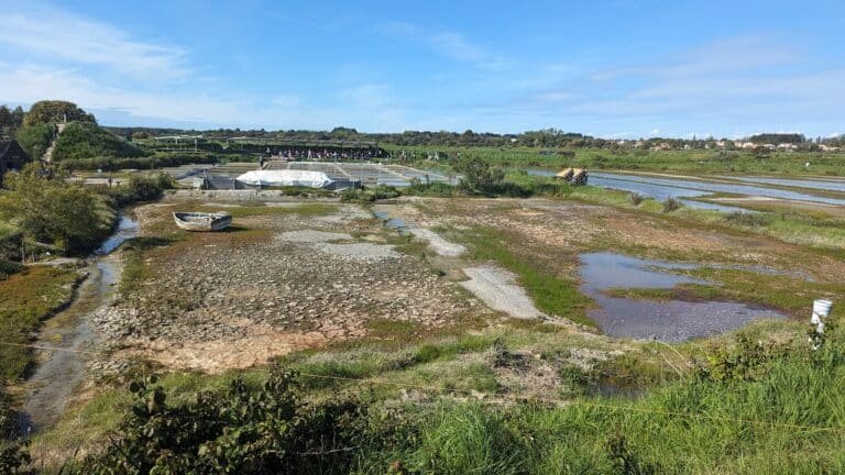 Les Salines - Parc d'aventure du sel - photo 3