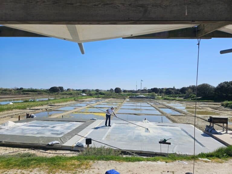 Les Salines - Parc d'aventure du sel - photo 4