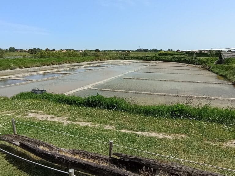 Les Salines - Parc d'aventure du sel - photo 5