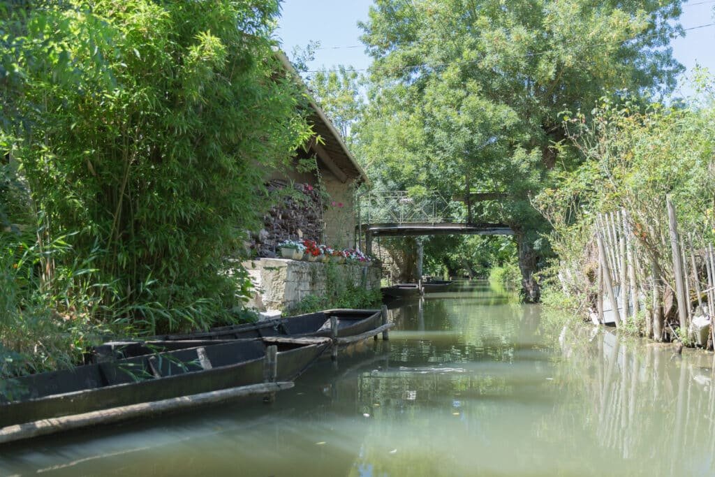 Canal bordé de frênes têtards dans la Venise Verte du Marais Poitevin