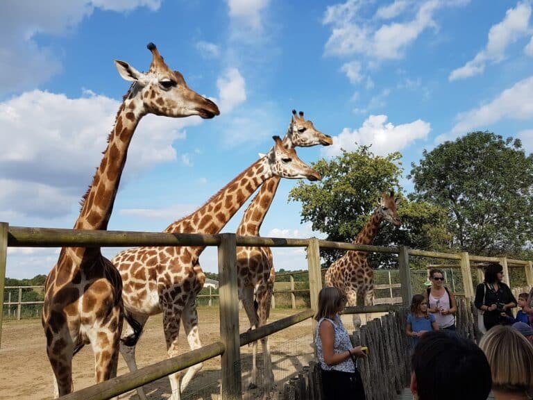 Natur'Zoo de Mervent - photo 1