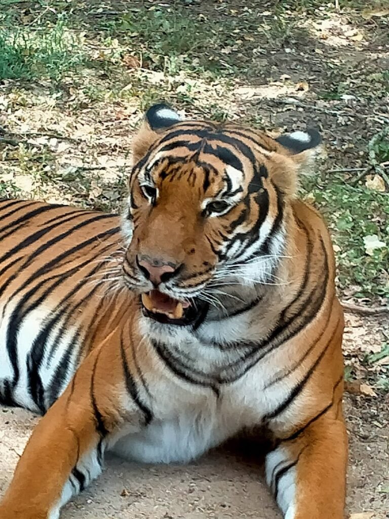 Natur'Zoo de Mervent - photo 3