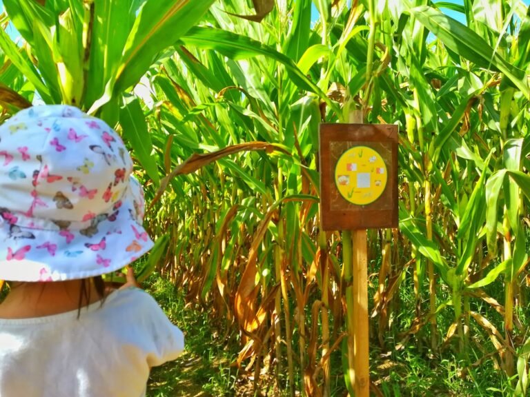 Pop Corn Labyrinthe - photo 2