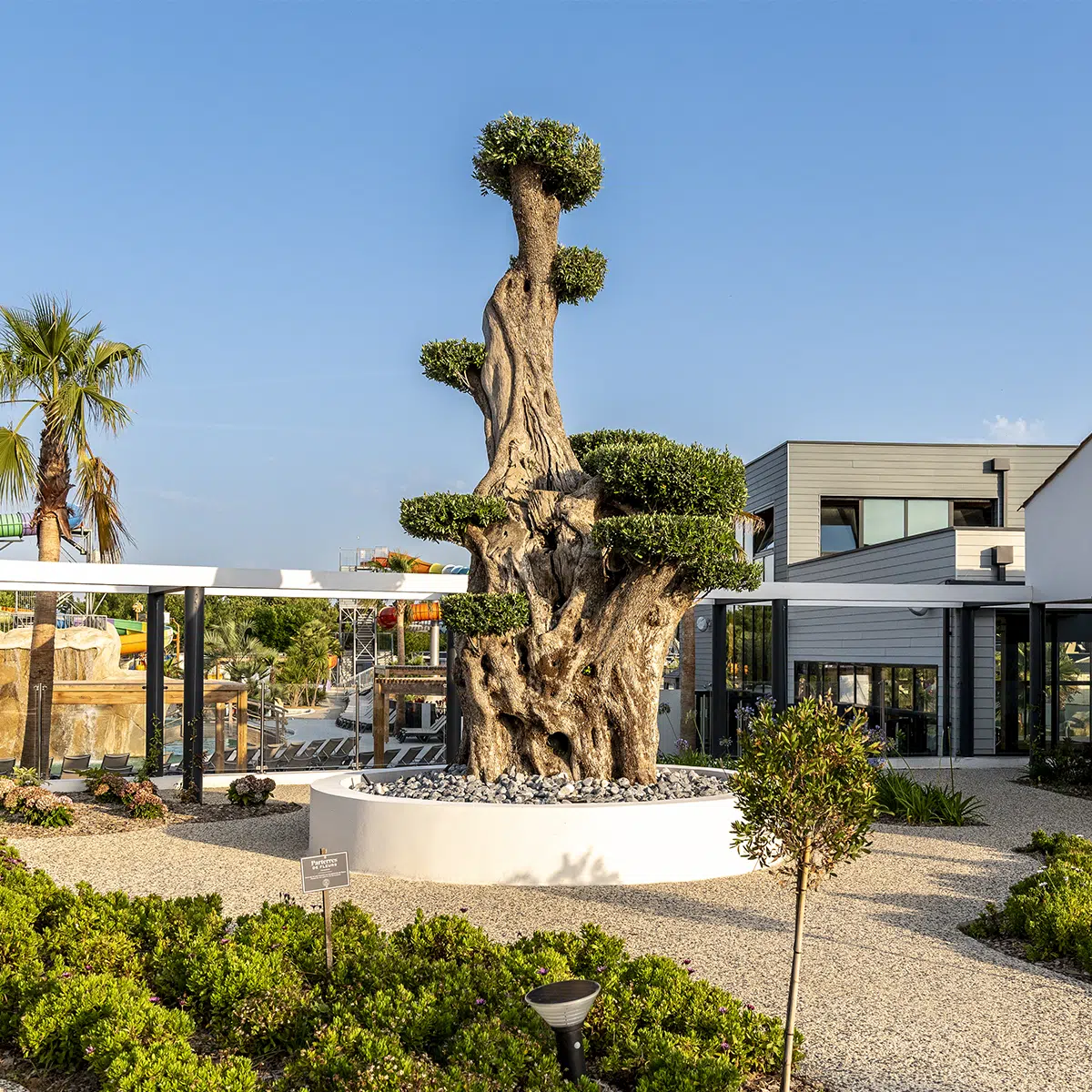 Camping Les Brunelles à Longéville-sur-Mer, Vendée