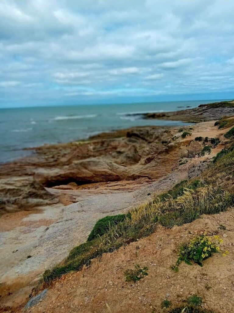 Aire de Brétignolles-sur-Mer — Brétignolles-sur-Mer (Vendée)