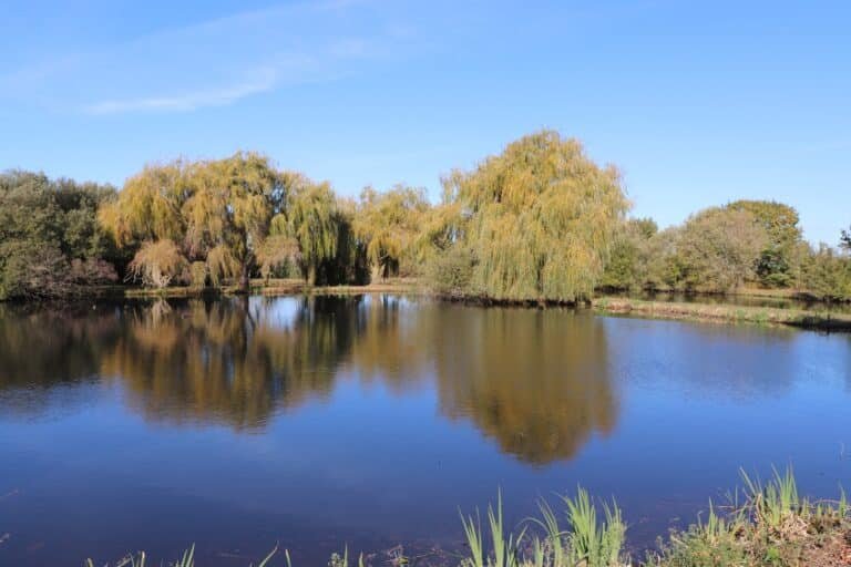 Camping Les Alouettes - photo 4
