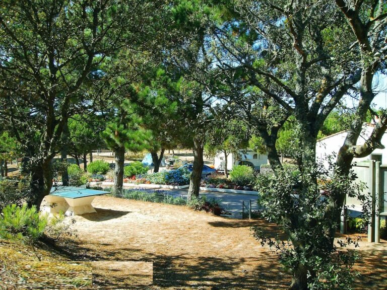 Camping Municipal L Orgatte - photo 5