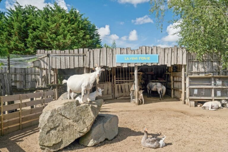 Camping Paradis La Grand'Métairie — Saint-Hilaire-la-Forêt (Vendée)