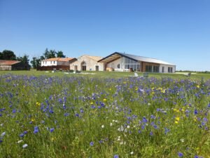 Domaine Quatre Plumes — Les Landes-Genusson (Vendée)