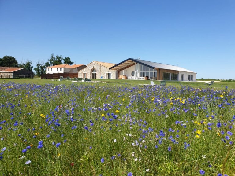 Domaine Quatre Plumes — Les Landes-Genusson (Vendée)