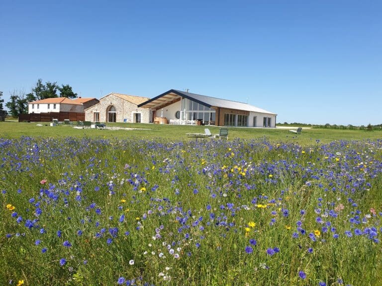 Domaine Quatre Plumes — Les Landes-Genusson (Vendée)