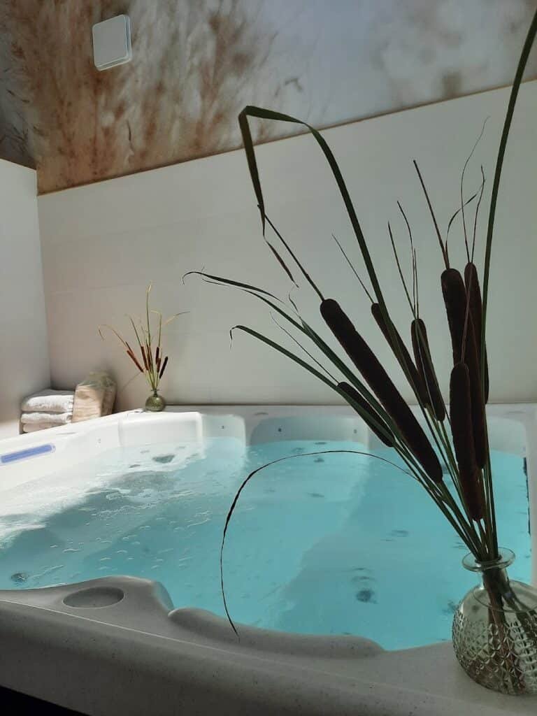 Gite grange le kulmino spa sauna (reservation en ligne) — Notre-Dame-de-Monts (Vendée)