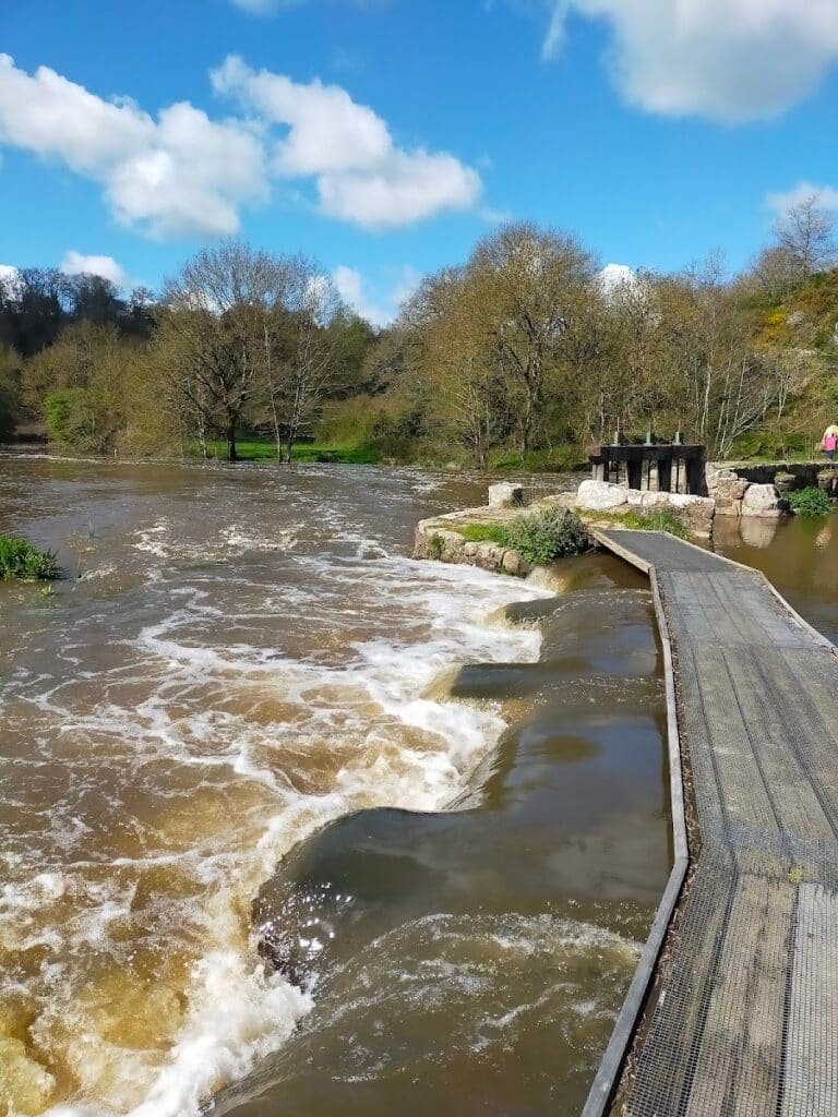 gite le moulin de la roche — Tiffauges (Vendée)