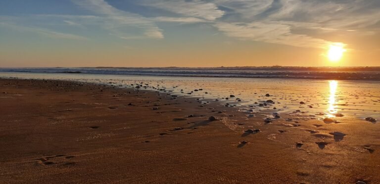 Gîtes Les Ganivelles — Brem-sur-Mer (Vendée)