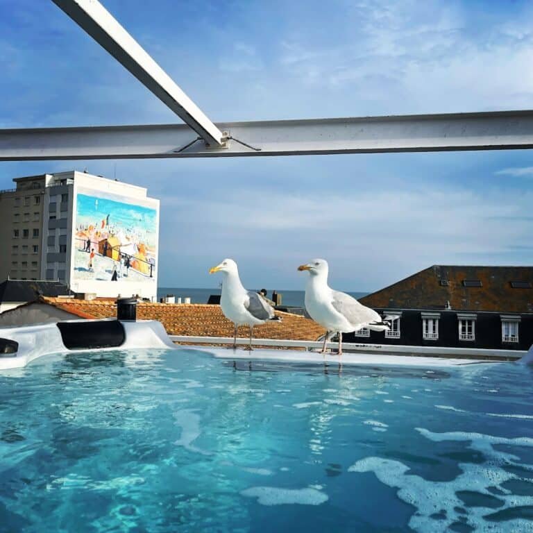 Hôtel Arc en Ciel et Spa - photo 3
