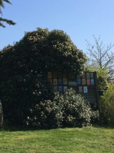 Le Petit Monty - Gîtes, Chambres et Table d'Hôtes à 5 minutes du Puy Du Fou en Vendée — Saint-Malô-du-Bois (Vendée)