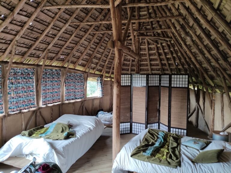 Terragora Lodges - photo 2