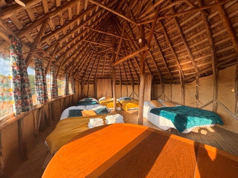 Terragora Lodges - photo 3
