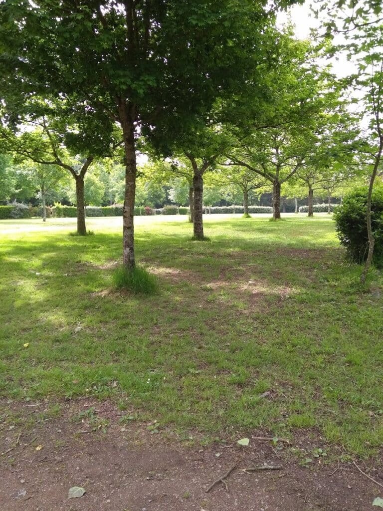 Camping Municipal "Le Bois du Bouquet" - photo 2