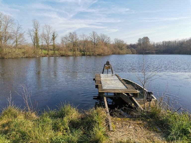 L'Étang des Landes - photo 1