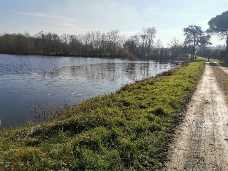 L'Étang des Landes - photo 2