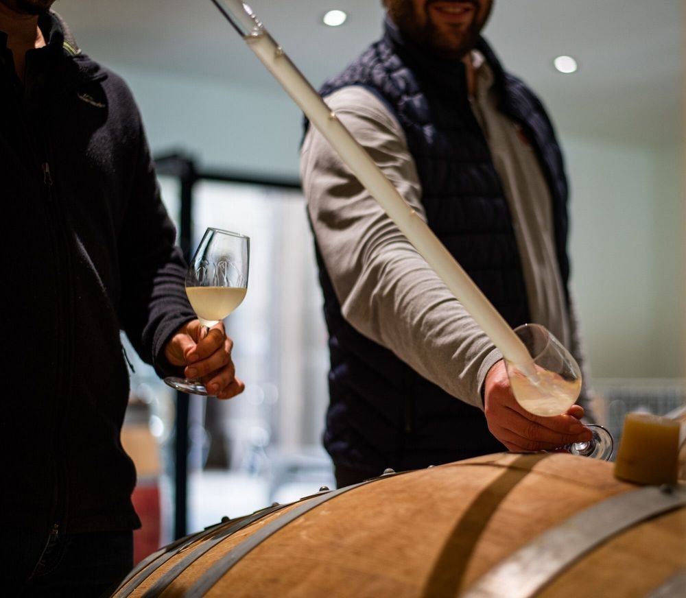 Visite de chai et dégustation de vins en Vendée
