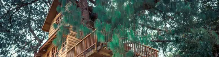 Cabane dans les arbres