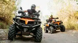 Quad & buggy